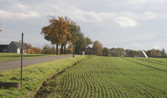 Projekt Städten, ehemalige Obstbaumallee, noch kahle rechte Seite Foto: René Ziegenhagen